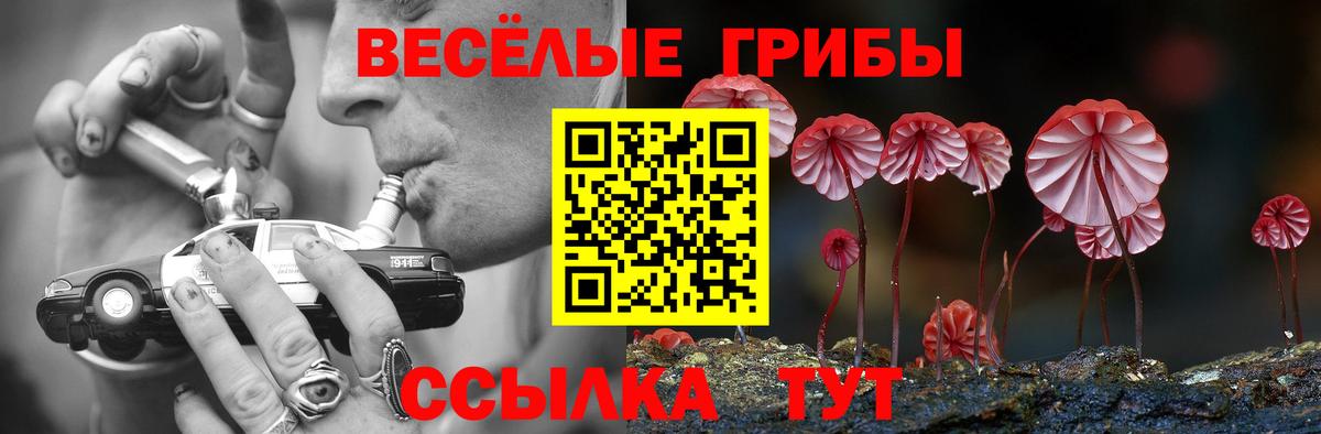 Псилоцибиновые грибы Cubensis  Вход с VPN  Элиста  Галлюциногенные грибы мицелий 
