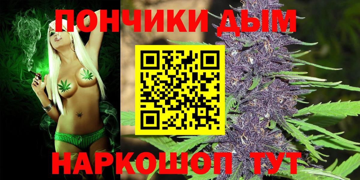 Бошки марихуана план  Шишки марихуана AK-47  Элиста  Вход с VPN  Канабис марихуана 